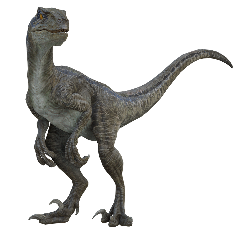 Blue Transparent Raptor Blue Transparent V4 by Lukiethewesley13 on DeviantArt