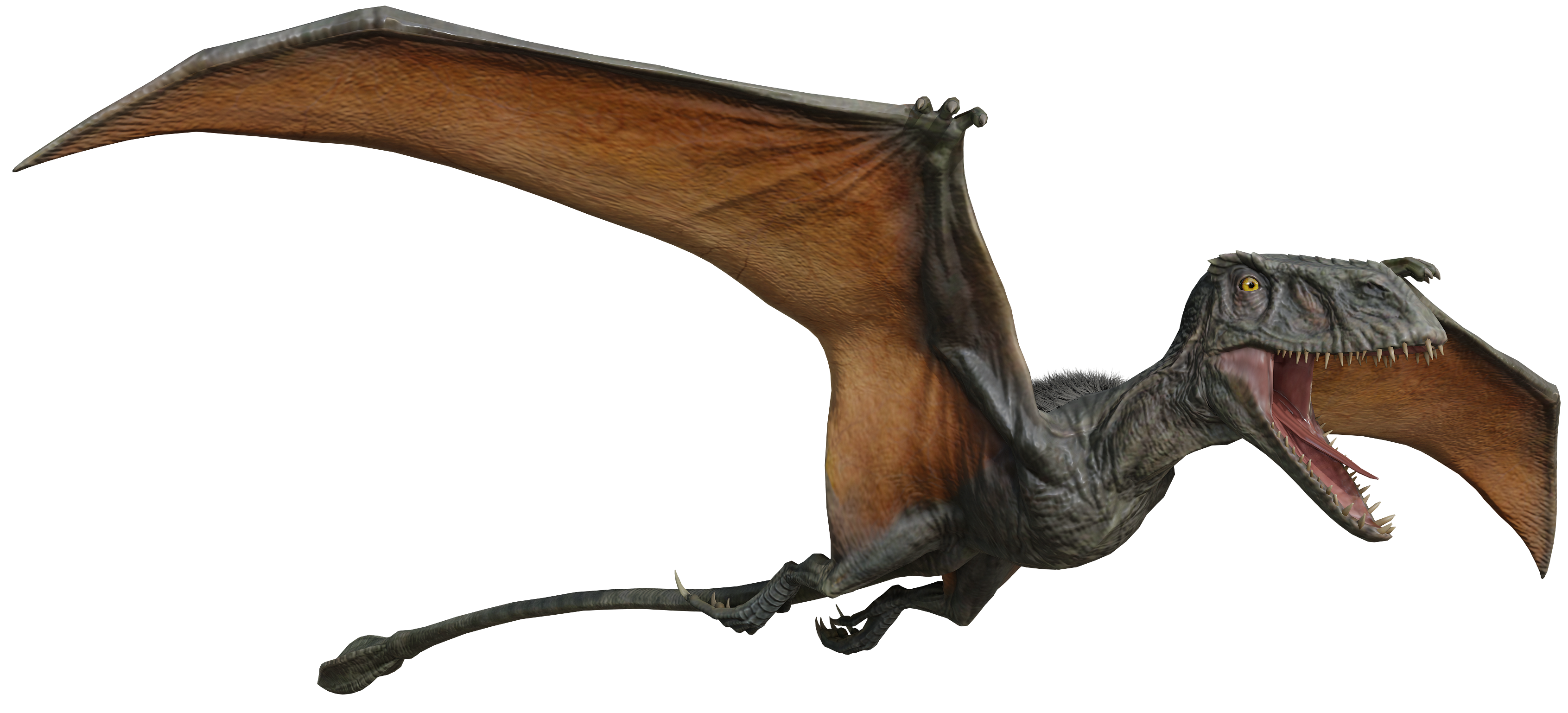 Deviantart Transparent Jurassic World - Dimorphodon Transparent by Lukiethewesley13 on DeviantArt