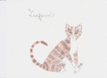 Leafpool's Feather