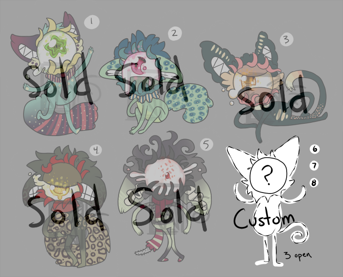 1 CatEye Adopts : SOLD OUT