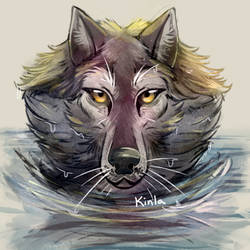 BadgeQuest10: Wolf