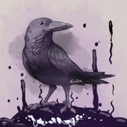 BadgeQuest13: Raven
