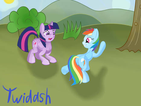 Twidash