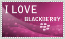 _I Love BB_