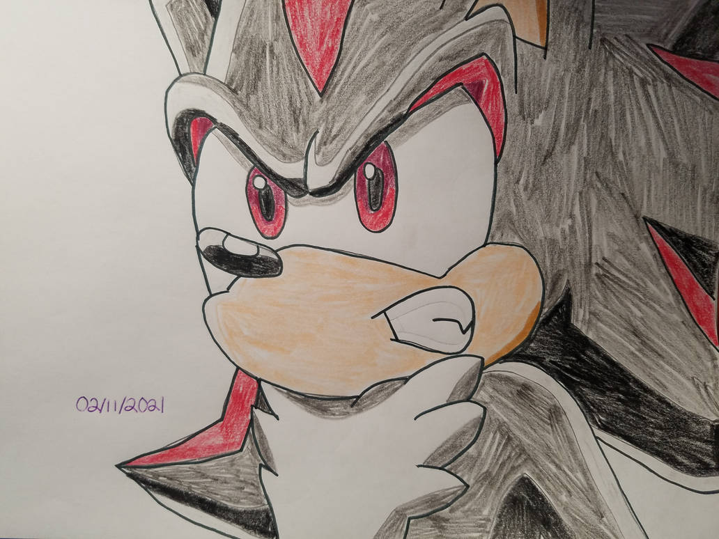Toonsite Shadow Shadow The Hedgehog by AnimatedOne on DeviantArt
