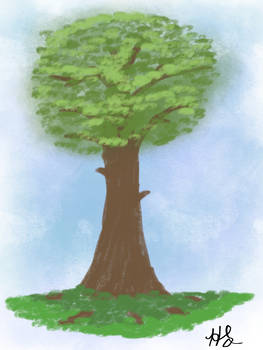 TreeDoodle