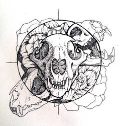 Skulls