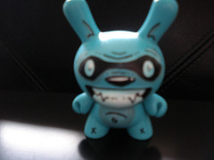 Raccoon custom dunny