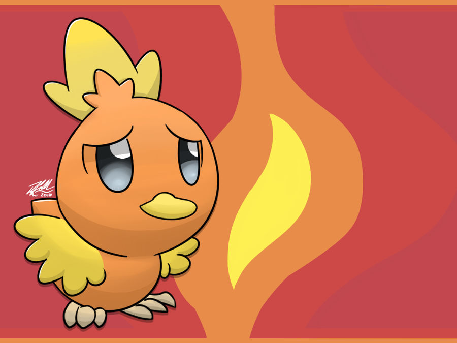 Torchic Rumble Torchic! by MrNyanUniverse on DeviantArt