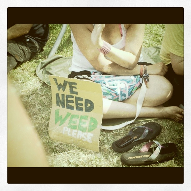 We Need Weed