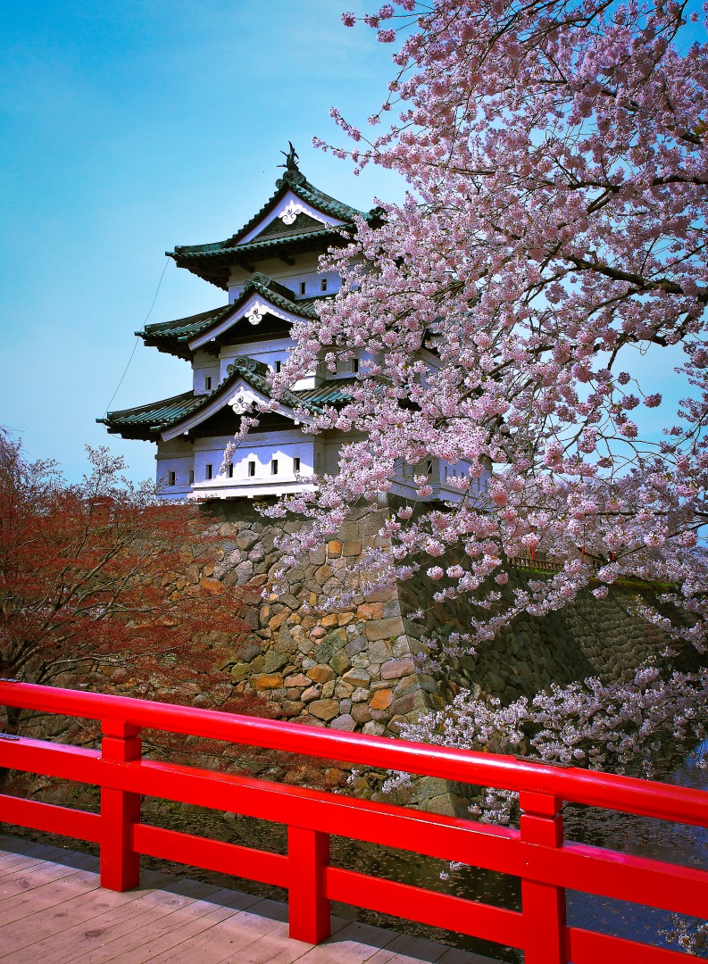 Hirosaki Blossoms