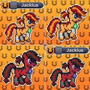 Pony Profile: Jacklus (Collage)