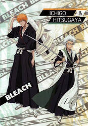 Ichigo and Hitsugaya