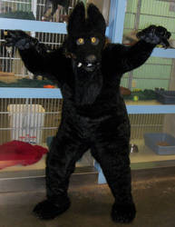 Werewolf Suit 1