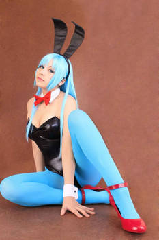 Bulma Dragon Ball Bunny