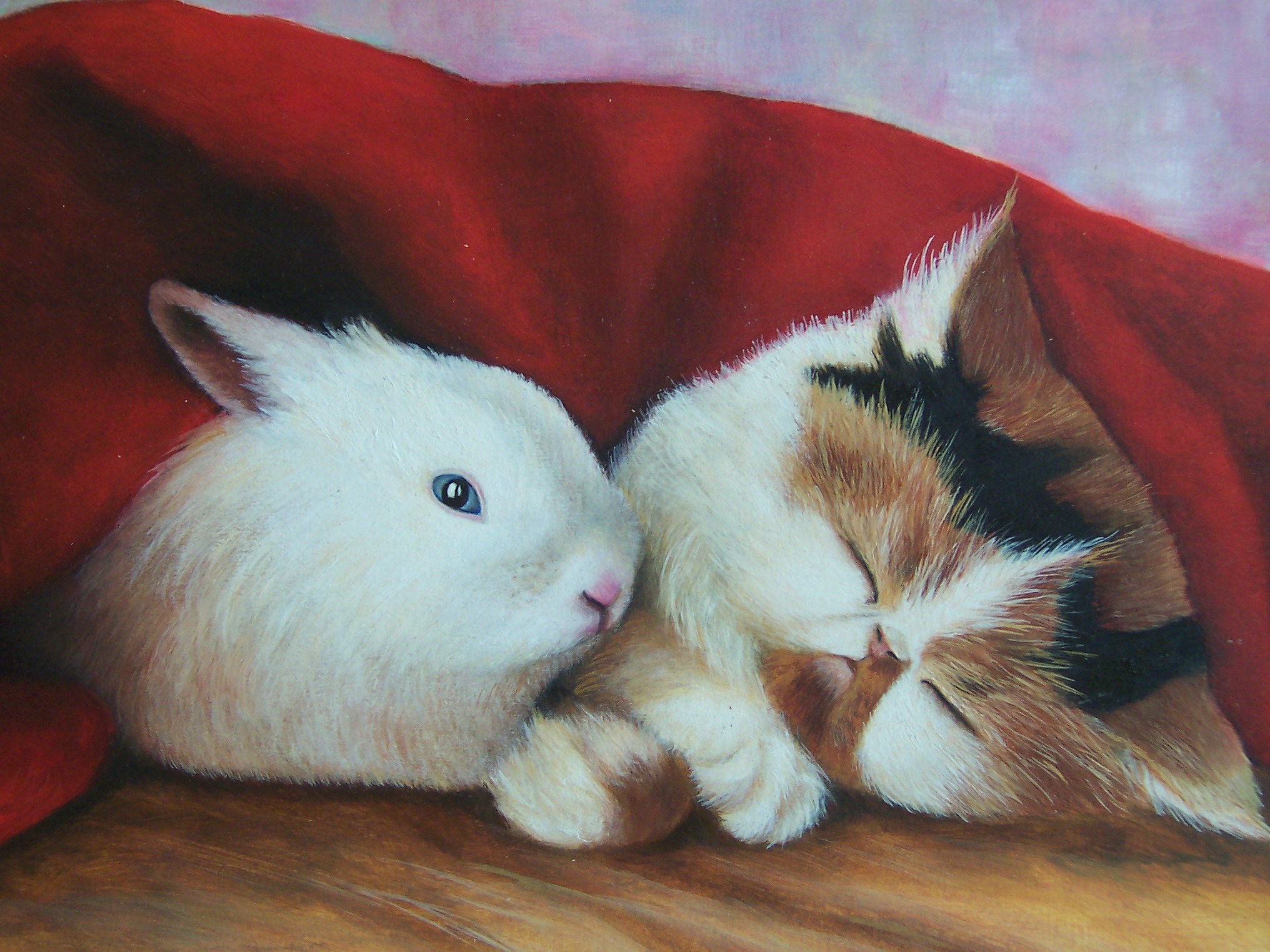 Cat and Rabbit