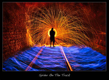 Spider On The Track