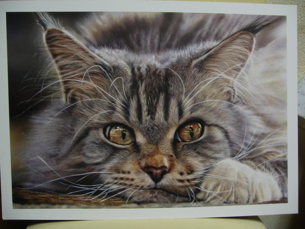 Mr grumpy by dutchairbrush on DeviantArt