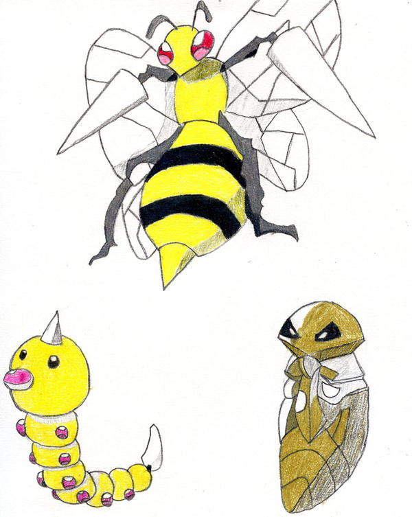 Beedrill Inflation The Beedrill Evolution by SuperStar2012 on DeviantArt