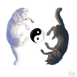 Yin and Yang