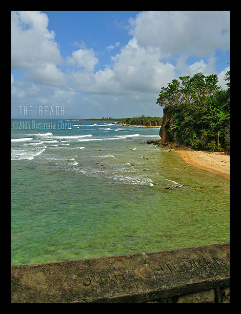 The Beach