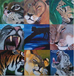 9 Grid, Big cats