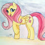 FlutterShy