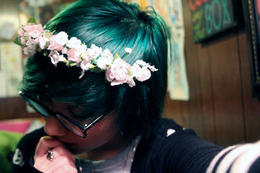 i like flower crowns a little too much.