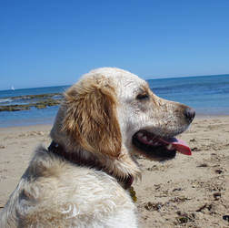 Tessa at the Beach