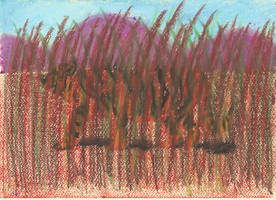 Tiger Oil Pastel Experiment
