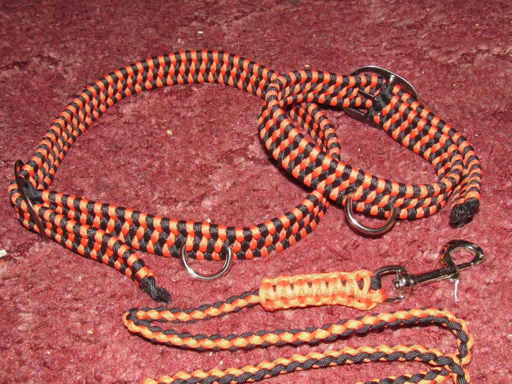 Leash and Collars (black and orange)