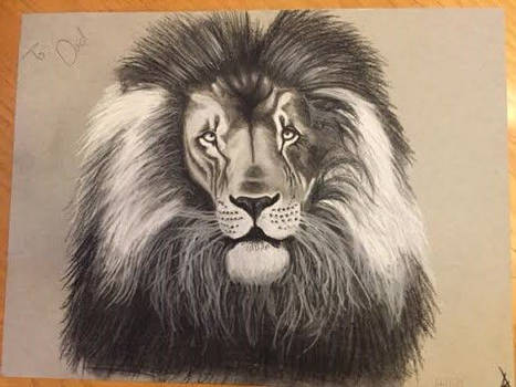 Charcoal Lion Front On