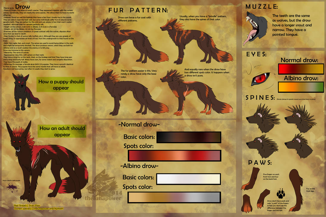 Alternative Drow Features Drow reference p.1 by AngryLabi on DeviantArt