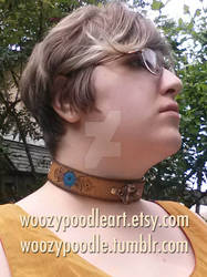 Leather Collar