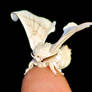 Delicate 2