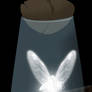 You Caught a Fairy in a Bottle