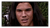 LOST: Team Jacob Stamp