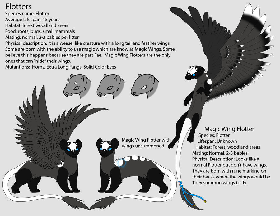 Flotter Reference sheet.