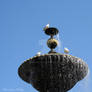 Up on the fountain