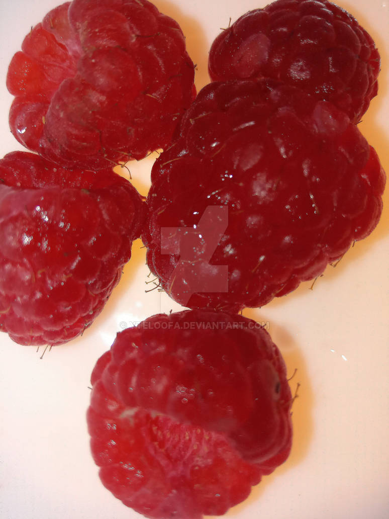 raspberry by Yteloofa on DeviantArt