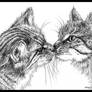 Kitty kiss