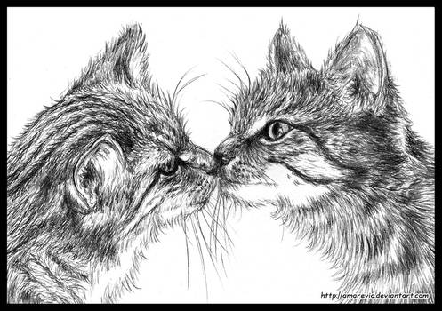 Kitty kiss