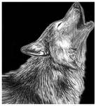 Howl by Amarevia