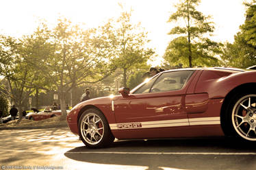 Ford GT at Morning Light