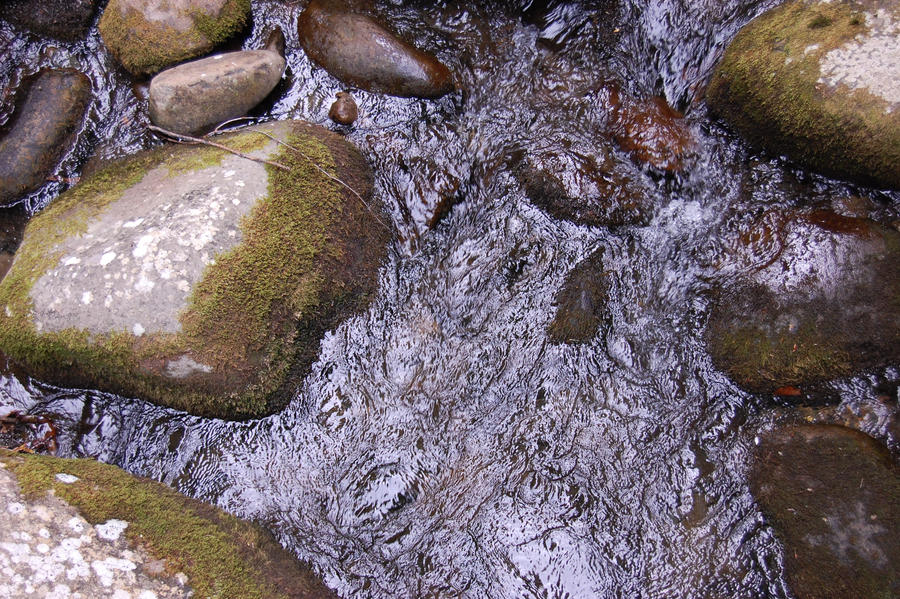 Mosey Rocks Mossy Rocks by Rocky-Stray on DeviantArt