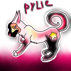 New Rylie