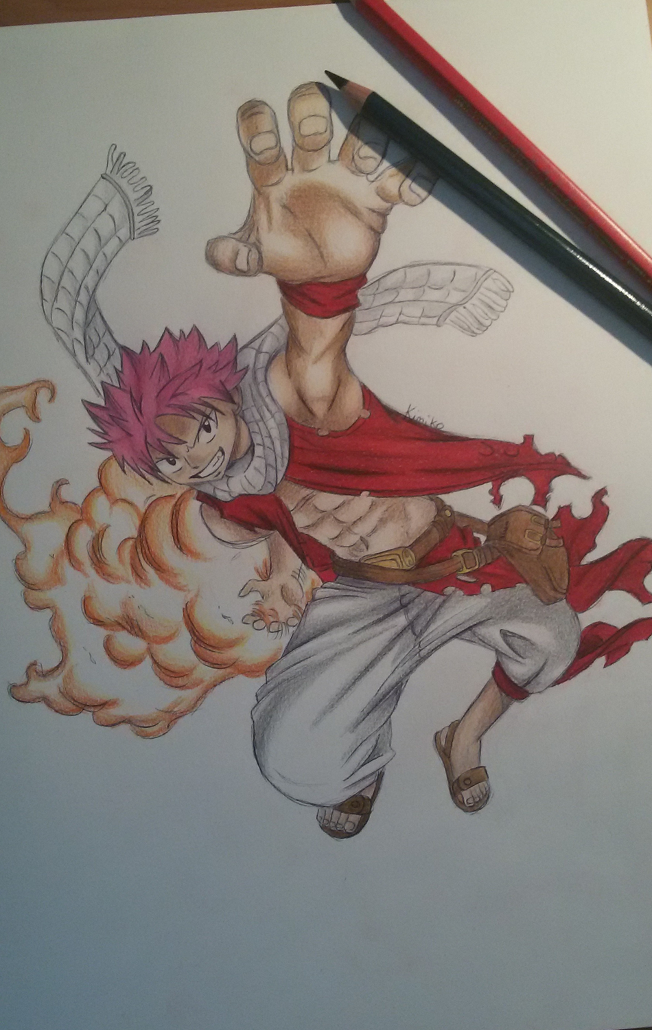 Fairy Tail: Natsu Dragneel