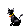 magical cat girl
