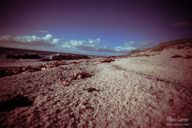 Autumn's Beach II