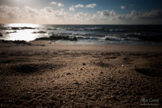 Autumn's Beach I